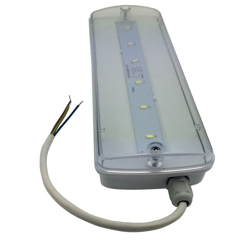 Wodoszczelna lampa awaryjna do grodzi, ładowalna, IP65, plastikowa, Ni-Cd z zapasem baterii 3 godziny L116N-E