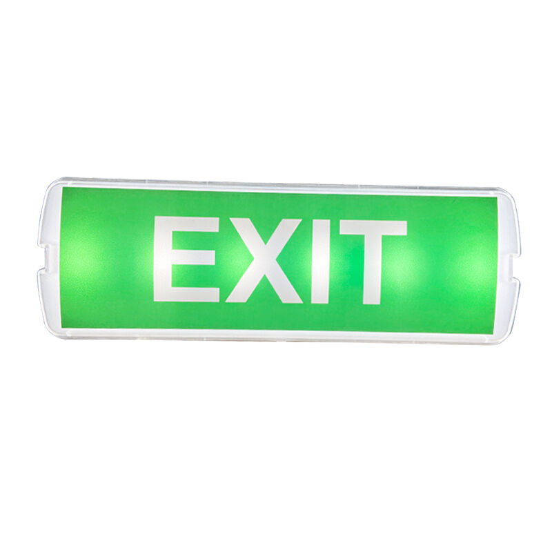 220V Natynkowa Lampa Awaryjna LED Akumulatorowa z 3-godzinnym Zasilaniem Awaryjnym i Konstrukcją z Tworzywa Sztucznego