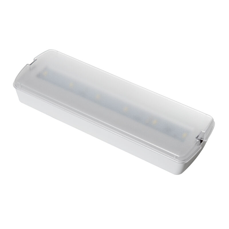 Stałe plastikowe awaryjne światło LED zasilane bateryjnie, ładowalne, montowane na ścianie, 3 godziny podtrzymania, Ni-Cd, IP20