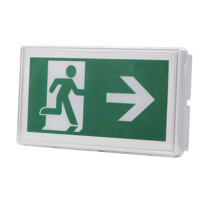 Znak wyjścia ewakuacyjnego, oświetlenie wpuszczane w sufit, akumulator Ni-Cd, stopień ochrony IP65, dioda LED 5730 SMD