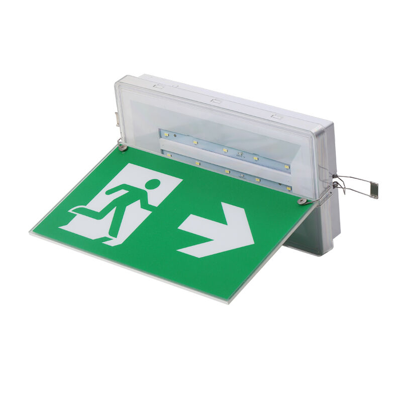 Znak wyjścia ewakuacyjnego, oświetlenie wpuszczane w sufit, akumulator Ni-Cd, stopień ochrony IP65, dioda LED 5730 SMD
