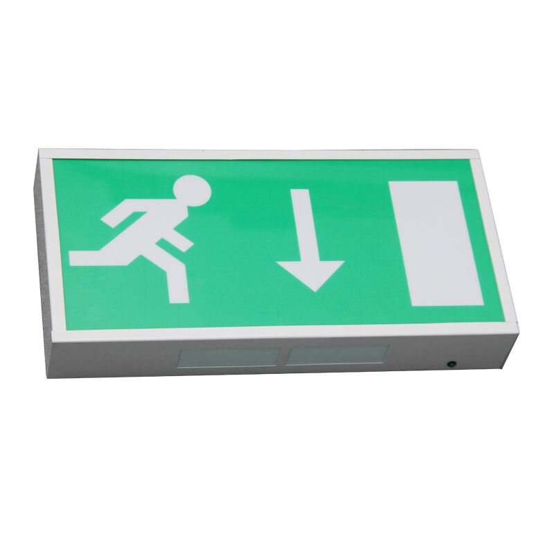 Piktogram Akumulator Ni-Cd LED Awaryjne Oświetlenie Wyjścia Ewakuacyjnego 5730 SMD 3 Lata Gwarancji